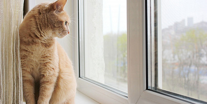 Как убрать запах сырости в доме после зимовки и не жить с открытыми окнами